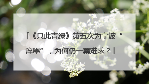 《只此青绿》第五次为宁波“淬墨”，为何仍一票难求？
