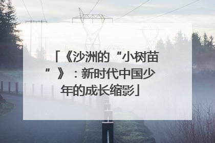 《沙洲的“小树苗”》：新时代中国少年的成长缩影