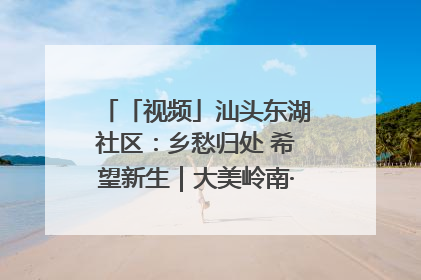 「视频」汕头东湖社区：乡愁归处 希望新生｜大美岭南·百村焕新记