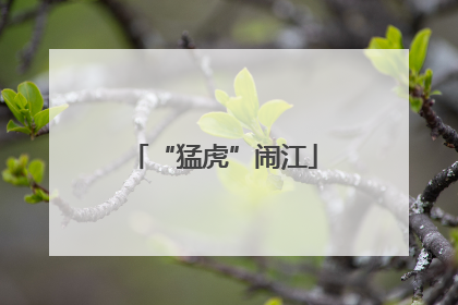 “猛虎”闹江