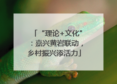 “理论+文化”：嘉兴黄岩联动，乡村振兴添活力