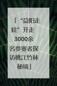 “益阳走娃”开走 3000余名参赛者探访桃江竹林秘境