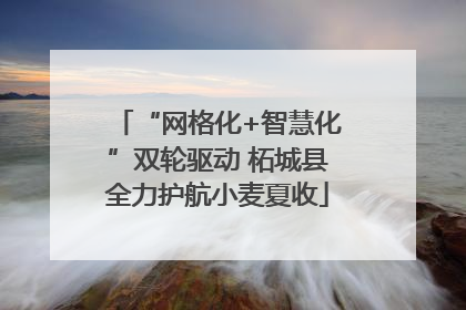 “网格化+智慧化”双轮驱动 柘城县全力护航小麦夏收