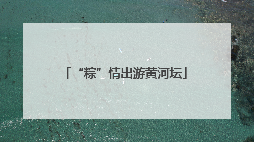 “粽”情出游黄河坛