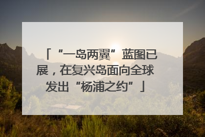 “一岛两翼”蓝图已展，在复兴岛面向全球发出“杨浦之约”