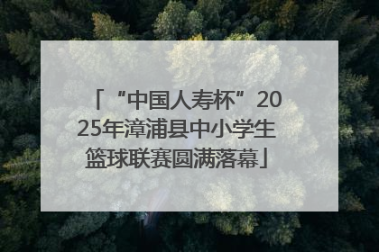 “中国人寿杯”2025年漳浦县中小学生篮球联赛圆满落幕