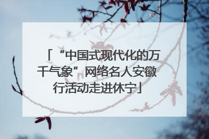 “中国式现代化的万千气象”网络名人安徽行活动走进休宁