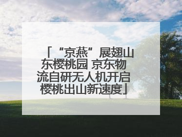“京燕”展翅山东樱桃园 京东物流自研无人机开启樱桃出山新速度