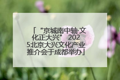 “京城南中轴·文化正大兴” 2025北京大兴文化产业推介会于成都举办