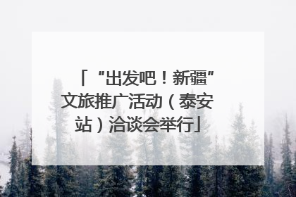 “出发吧！新疆”文旅推广活动（泰安站）洽谈会举行
