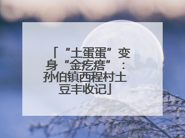 “土蛋蛋”变身“金疙瘩”：孙伯镇西程村土豆丰收记
