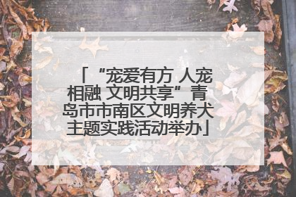 “宠爱有方 人宠相融 文明共享”青岛市市南区文明养犬主题实践活动举办