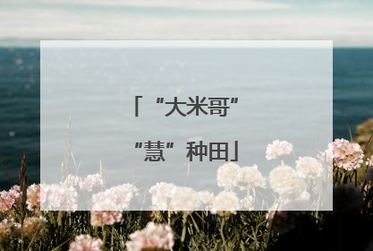 “大米哥”“慧”种田