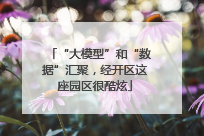 “大模型”和“数据”汇聚，经开区这座园区很酷炫