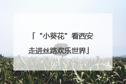 “小葵花”看西安走进丝路欢乐世界
