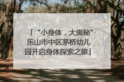 “小身体，大奥秘” 乐山市中区茅桥幼儿园开启身体探索之旅