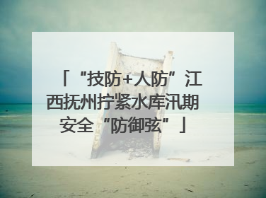 “技防+人防”江西抚州拧紧水库汛期安全“防御弦”