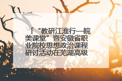 “教研江淮行—皖美课堂”暨安徽省职业院校思想政治课程研讨活动在芜湖高级职业技术学校举行