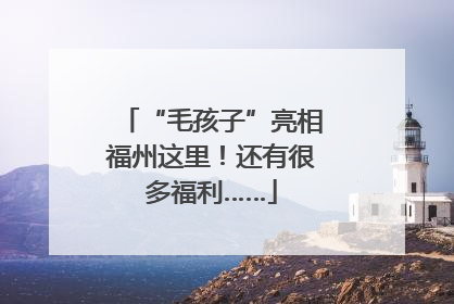 “毛孩子”亮相福州这里！还有很多福利……