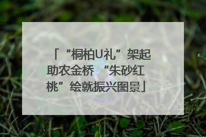 “桐柏U礼”架起助农金桥 “朱砂红桃”绘就振兴图景