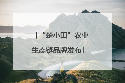 “楚小田”农业生态链品牌发布