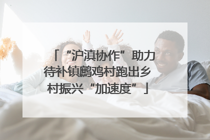 “沪滇协作”助力待补镇鹧鸡村跑出乡村振兴“加速度”
