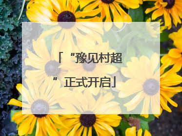 “豫见村超”正式开启