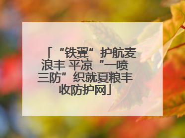“铁翼”护航麦浪丰 平凉“一喷三防”织就夏粮丰收防护网