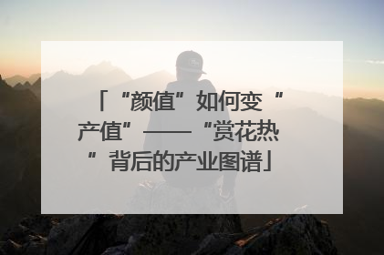 “颜值”如何变“产值”——“赏花热”背后的产业图谱