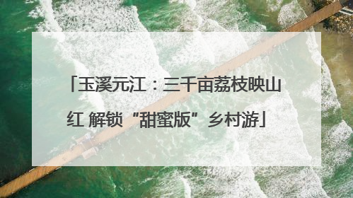 玉溪元江：三千亩荔枝映山红 解锁“甜蜜版”乡村游