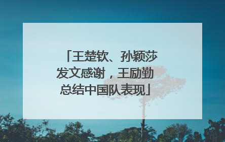 王楚钦、孙颖莎发文感谢，王励勤总结中国队表现