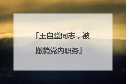 王自堂同志，被撤销党内职务