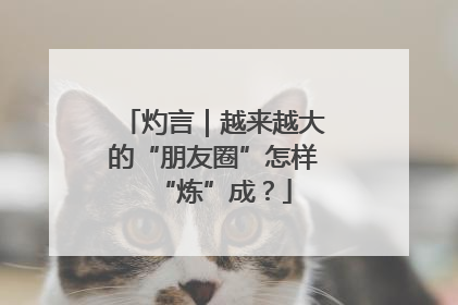 灼言｜越来越大的“朋友圈”怎样“炼”成？