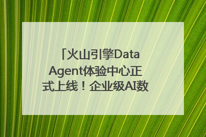火山引擎Data Agent体验中心正式上线！企业级AI数据专家触手可及