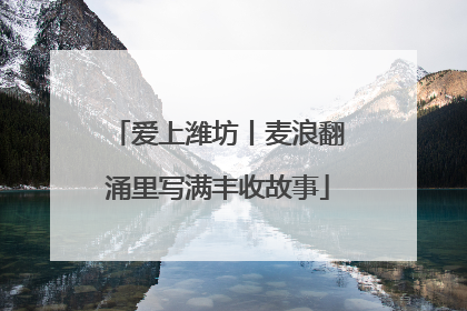 爱上潍坊丨麦浪翻涌里写满丰收故事