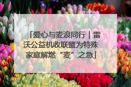 爱心与麦浪同行｜雷沃公益机收联盟为特殊家庭解燃“麦”之急