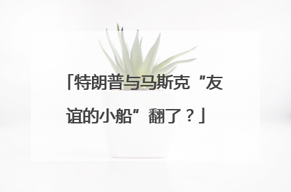 特朗普与马斯克“友谊的小船”翻了？