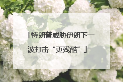 特朗普威胁伊朗下一波打击“更残酷”