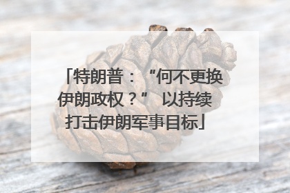 特朗普：“何不更换伊朗政权？” 以持续打击伊朗军事目标