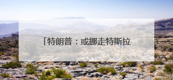 特朗普：或挪走特斯拉 但还会用“星链”