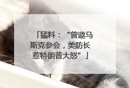 猛料：“曾邀马斯克参会，美防长惹特朗普大怒”