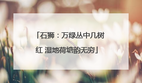 石狮：万绿丛中几树红 湿地荷塘韵无穷