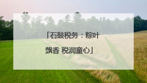 石鼓税务：粽叶飘香 税润童心