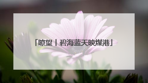 瞭望丨碧海蓝天映煤港