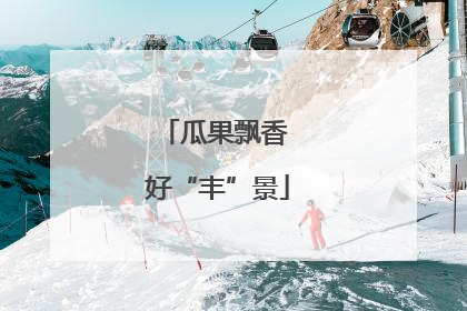 瓜果飘香 好“丰”景