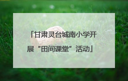 甘肃灵台城南小学开展“田间课堂”活动
