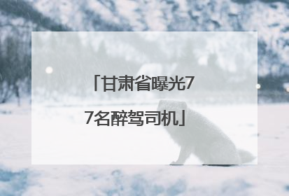 甘肃省曝光77名醉驾司机