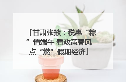 甘肃张掖：税惠“粽”情端午 看政策春风点“燃”假期经济