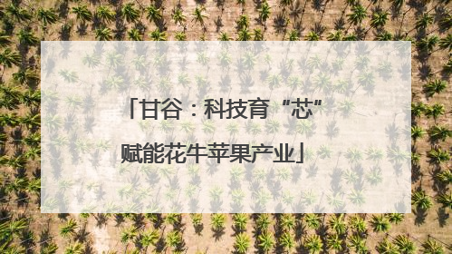 甘谷：科技育“芯”赋能花牛苹果产业