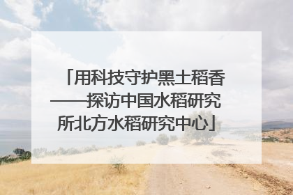 用科技守护黑土稻香——探访中国水稻研究所北方水稻研究中心